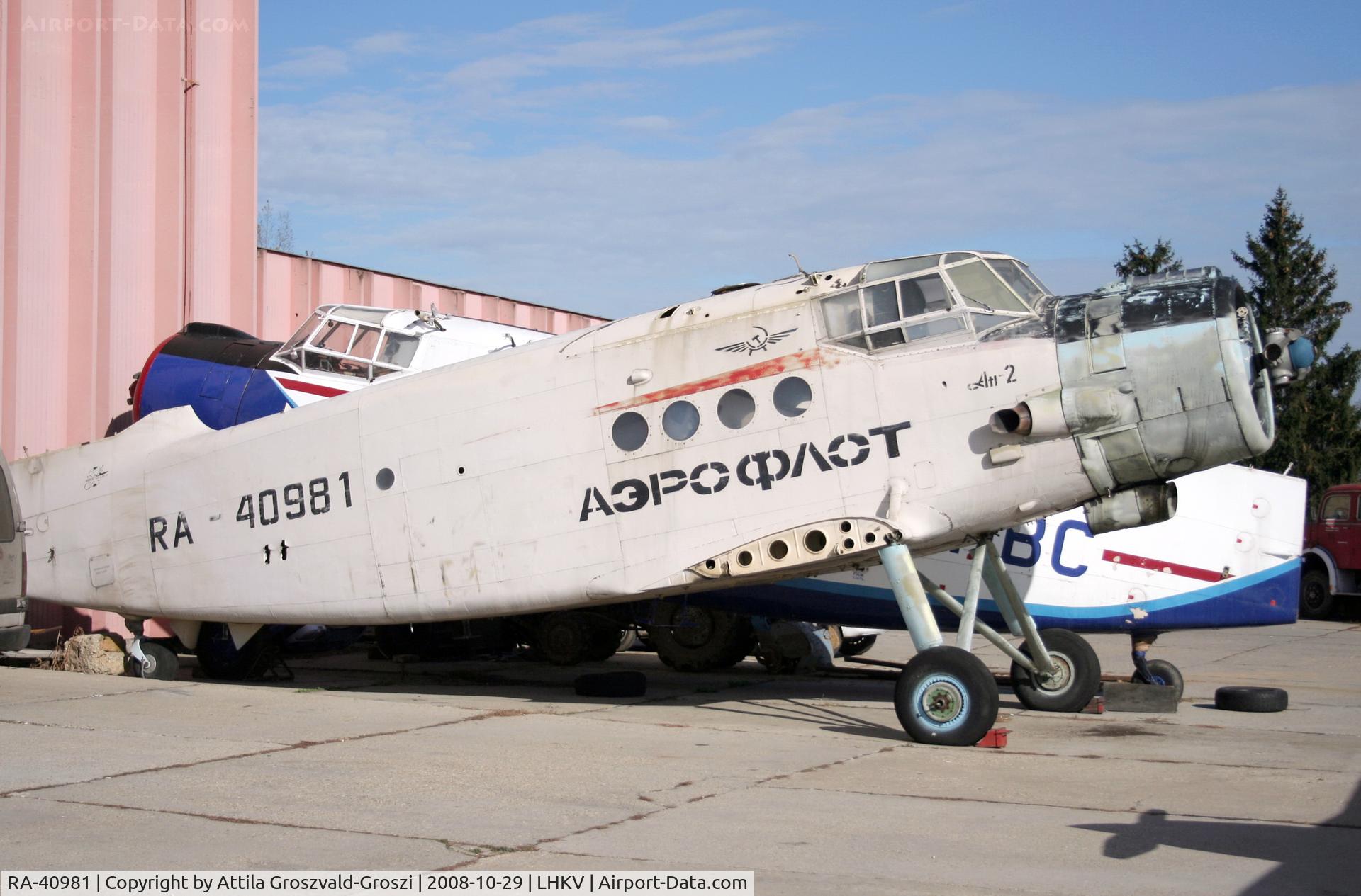 RA-40981, 1986 PZL-Mielec An-2R C/N 1G217-21, Hungary-Kaposújlak airport.
