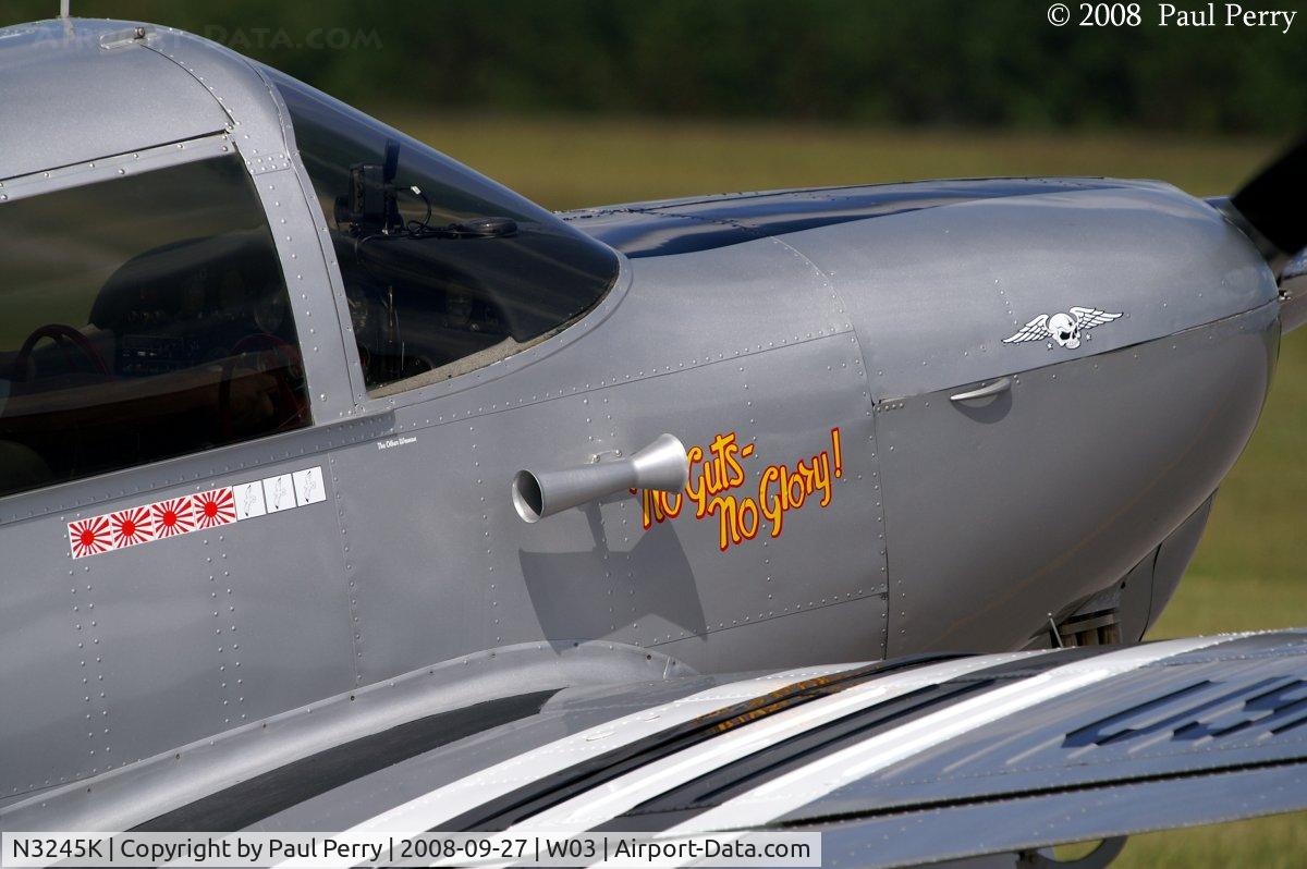 N3245K, 1946 Globe GC-1B Swift C/N 1238, Some of the art on the Globe