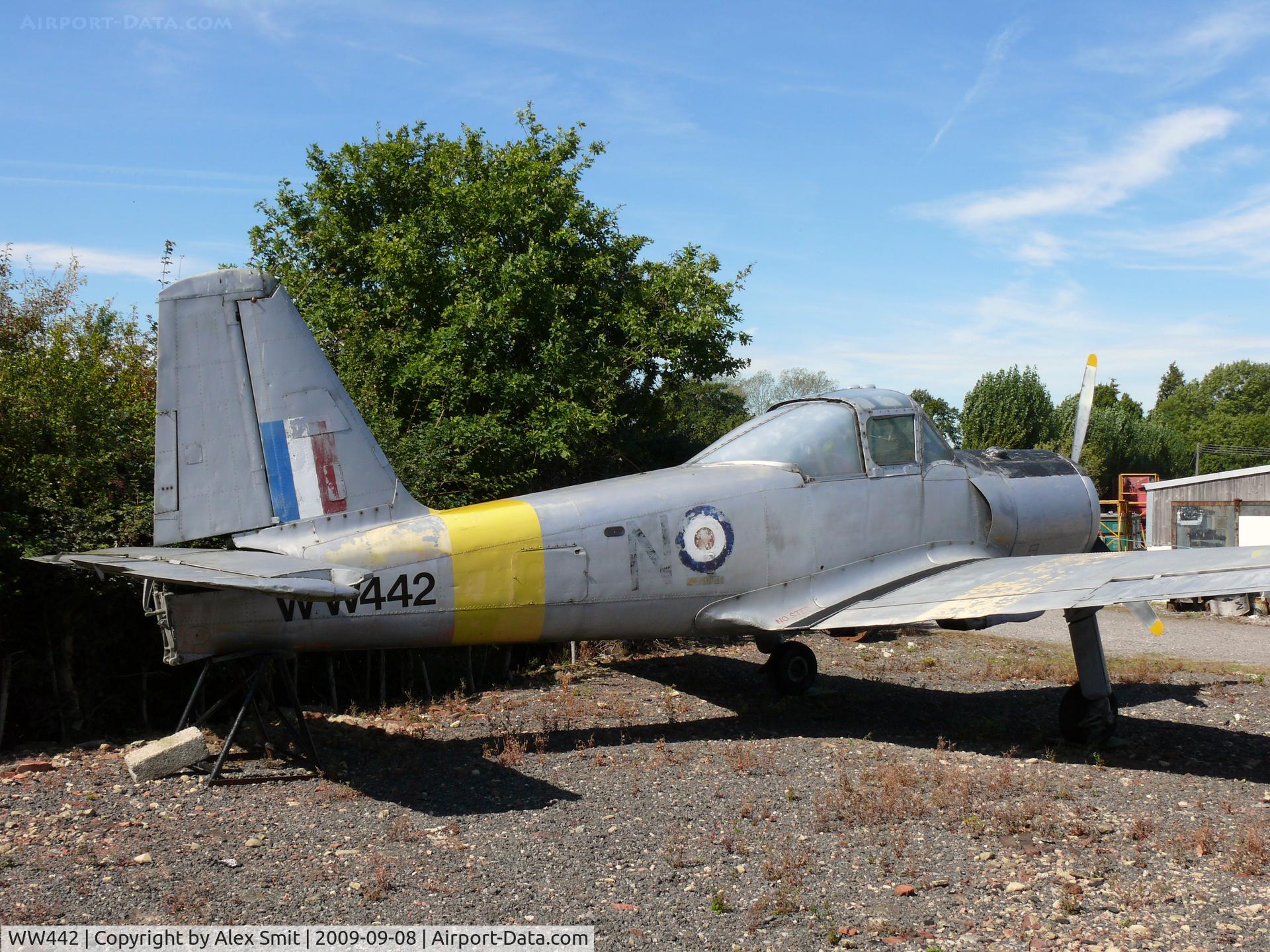 WW442, 1954 Percival P-56 Provost T.1 C/N PAC/56/257, Hunting Provost T1 WW442 Royal Air Force