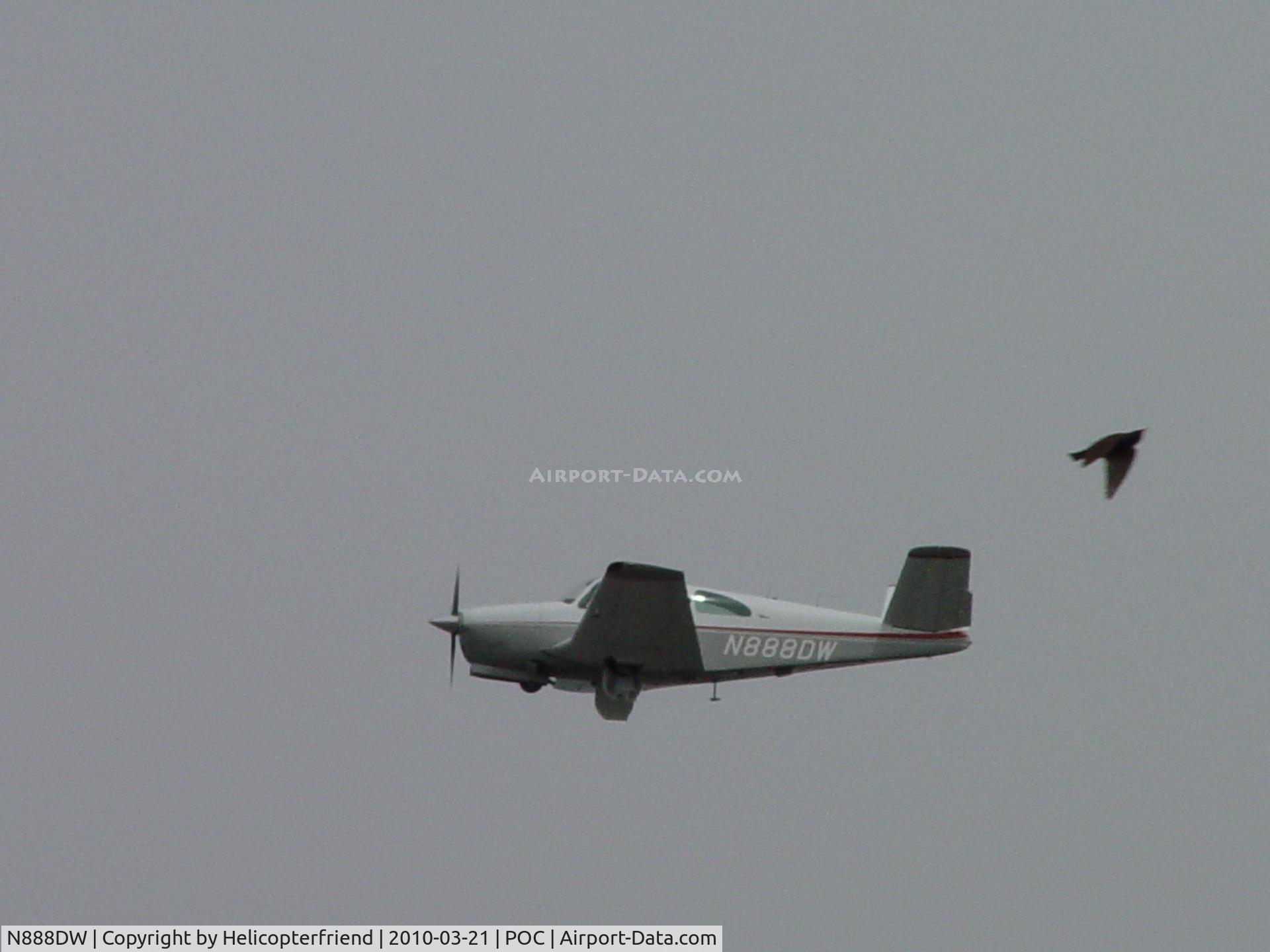 N888DW, 1962 Beech P35 Bonanza C/N D-7049, Appears that a bird is diving over backwards to get away