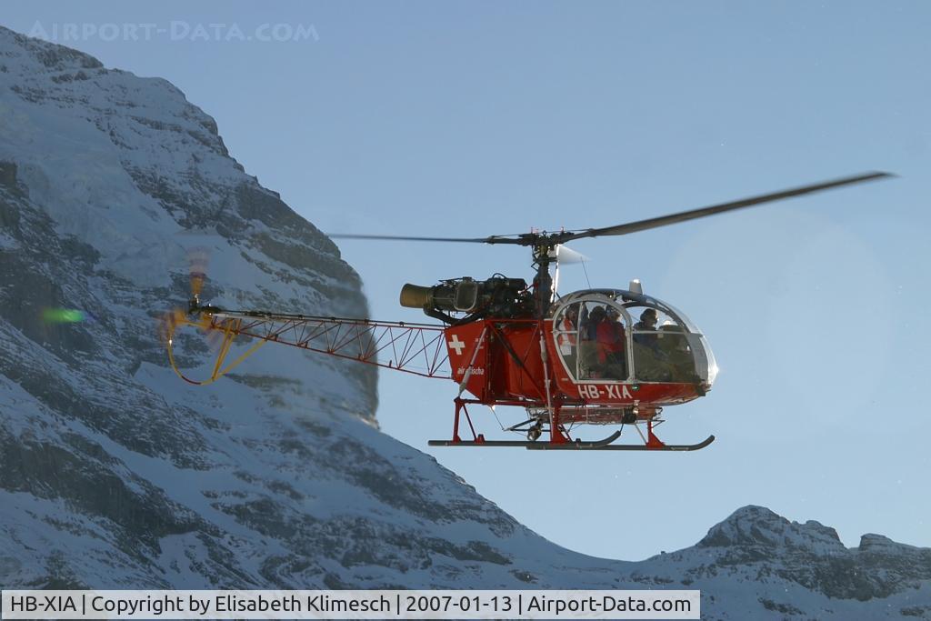 HB-XIA, 1979 Aerospatiale SA-315B Lama C/N 2552, at Lauberhorn