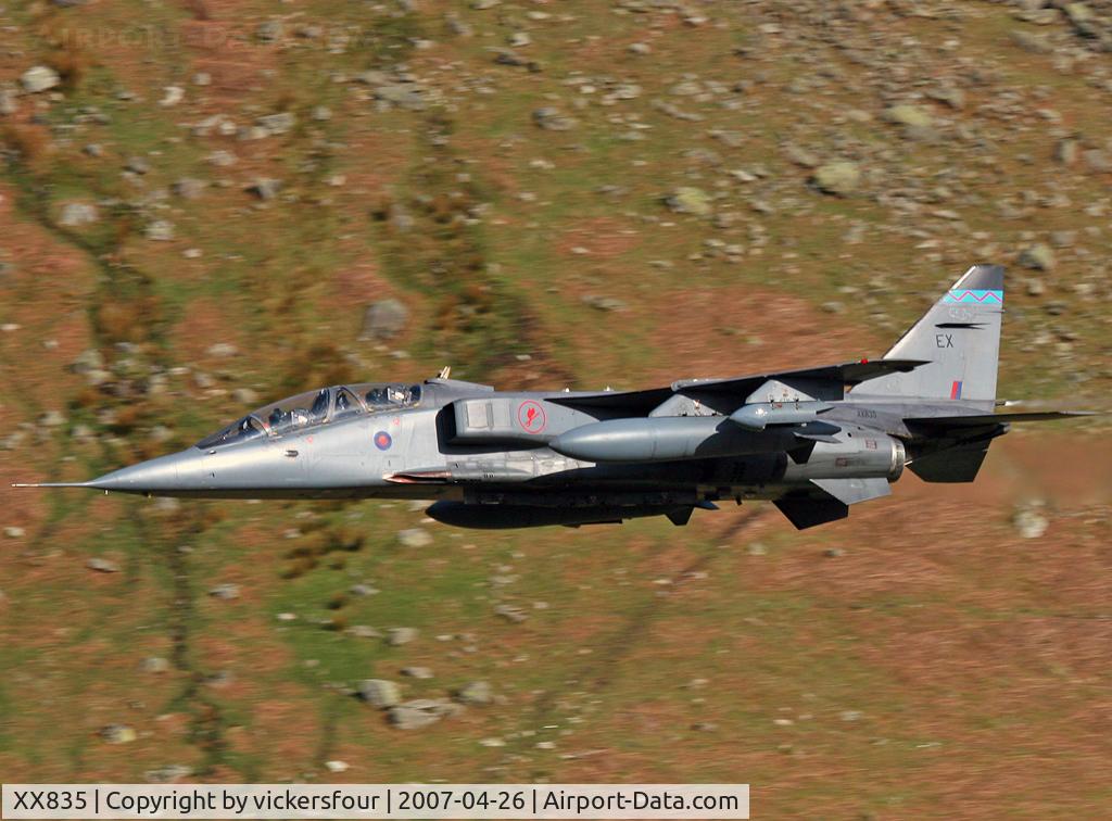XX835, Sepecat Jaguar T.4 C/N B.23, Royal Air Force Jaguar T4 (c/n B23). Operated by 6 Squadron, coded 'EX'. Dunmail Raise, Cumbria.
