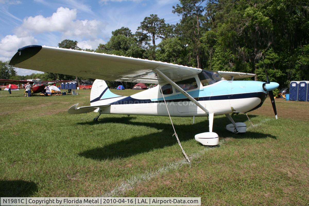 N1981C, 1954 Cessna 170B C/N 26126, Cessna 170B