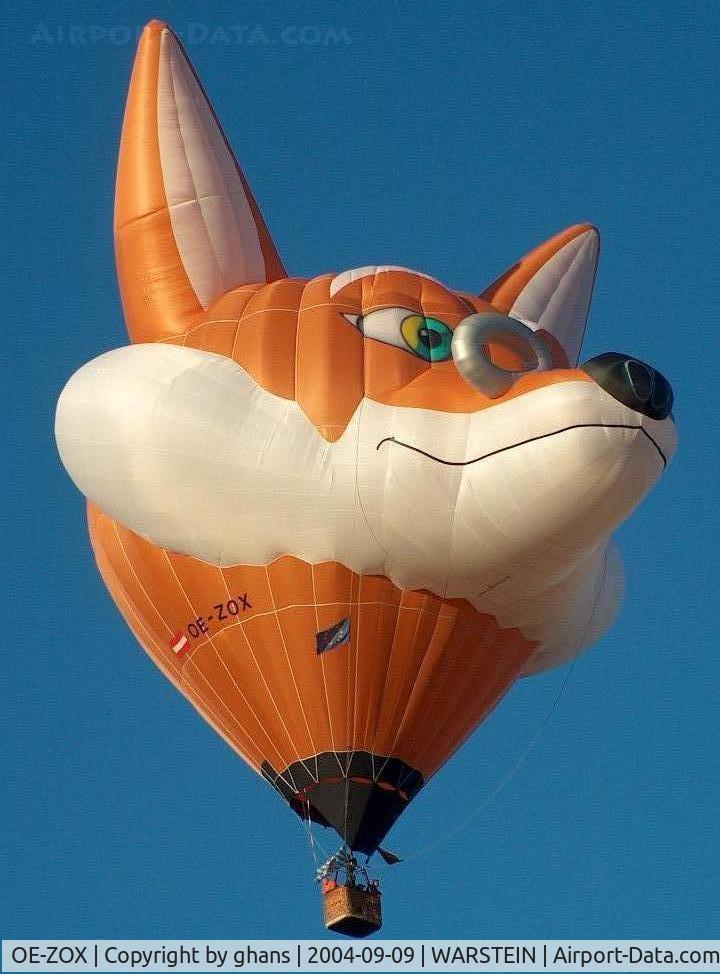 OE-ZOX, 2002 Kubicek Fox C/N 207, Foxhunting