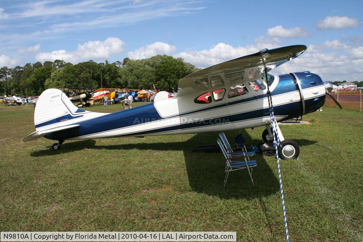 N9810A, 1950 Cessna 195 C/N 7489, Cessna 195