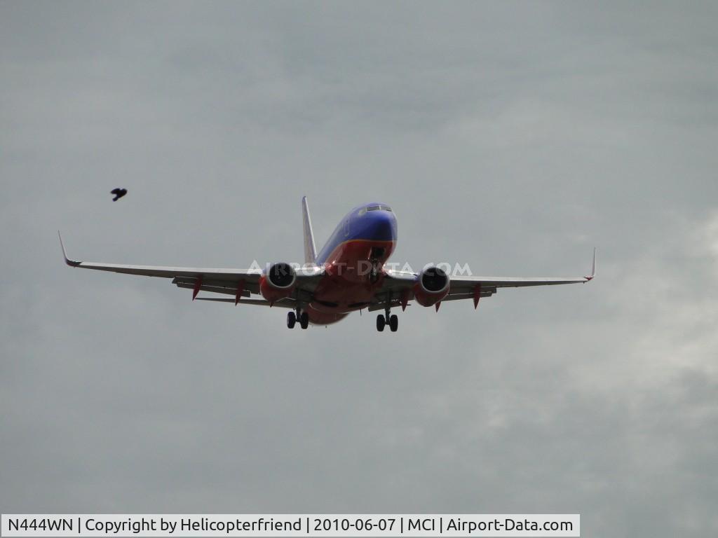 N444WN, 2003 Boeing 737-7H4 C/N 29839, Bird flying up and plane on final to runway 19R