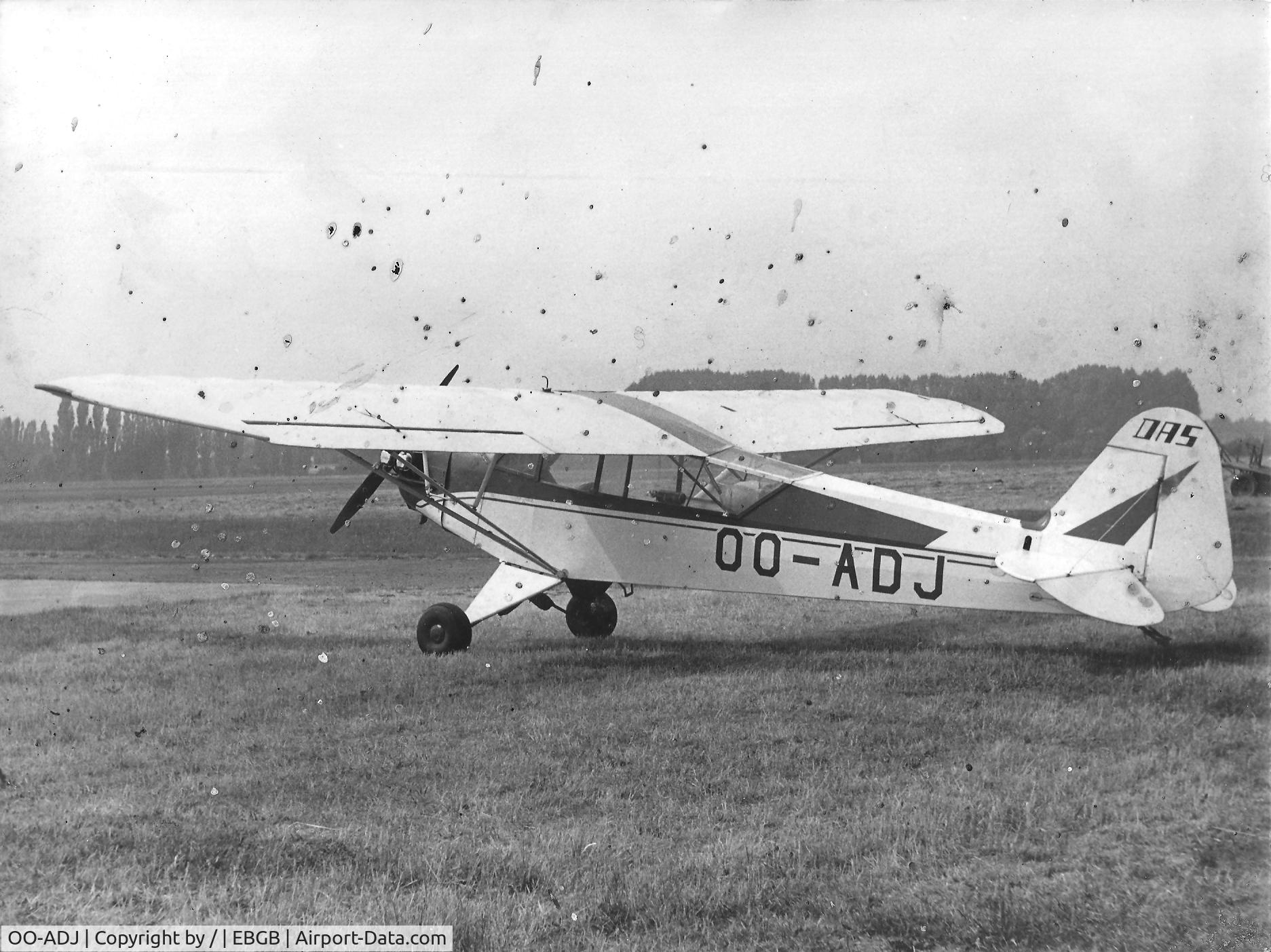 OO-ADJ, 1944 Piper L-4H Grasshopper (J3C-65D) C/N 12193, old scan, early seventies