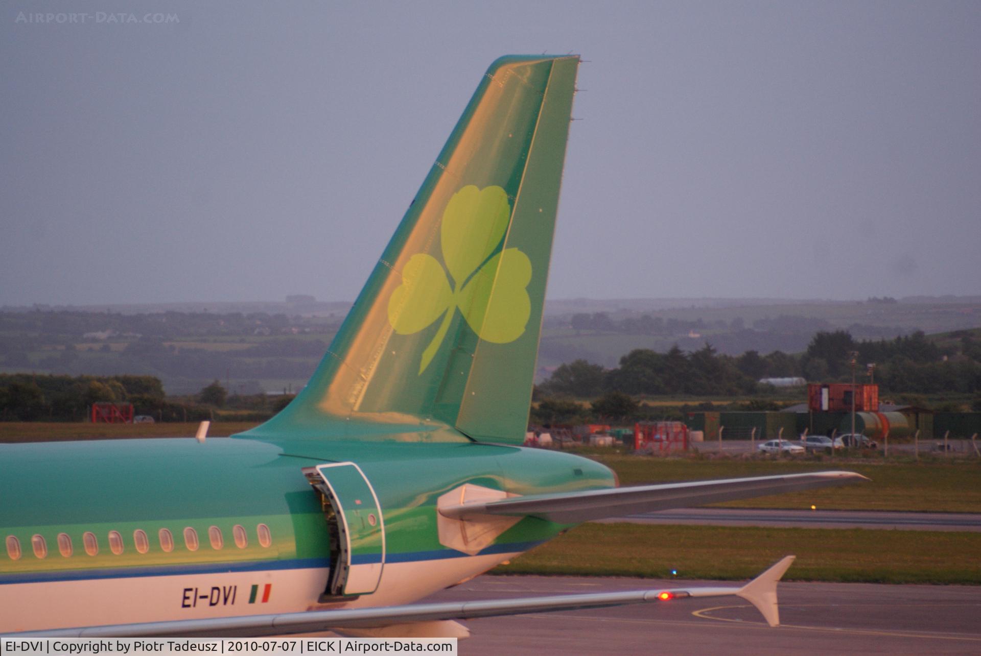 EI-DVI, 2008 Airbus A320-214 C/N 3501, Airbus tail
