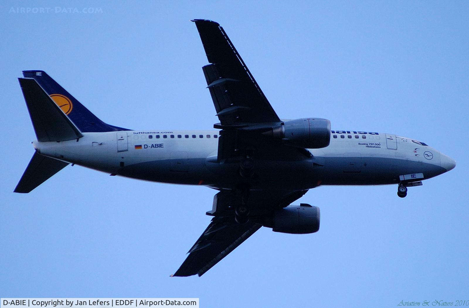 D-ABIE, 1990 Boeing 737-530 C/N 24819, Landing on Frankfurt