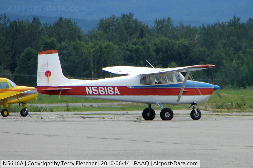 N5616A, 1956 Cessna 172 C/N 28216, 1956 Cessna 172, c/n: 28216 at Palmer