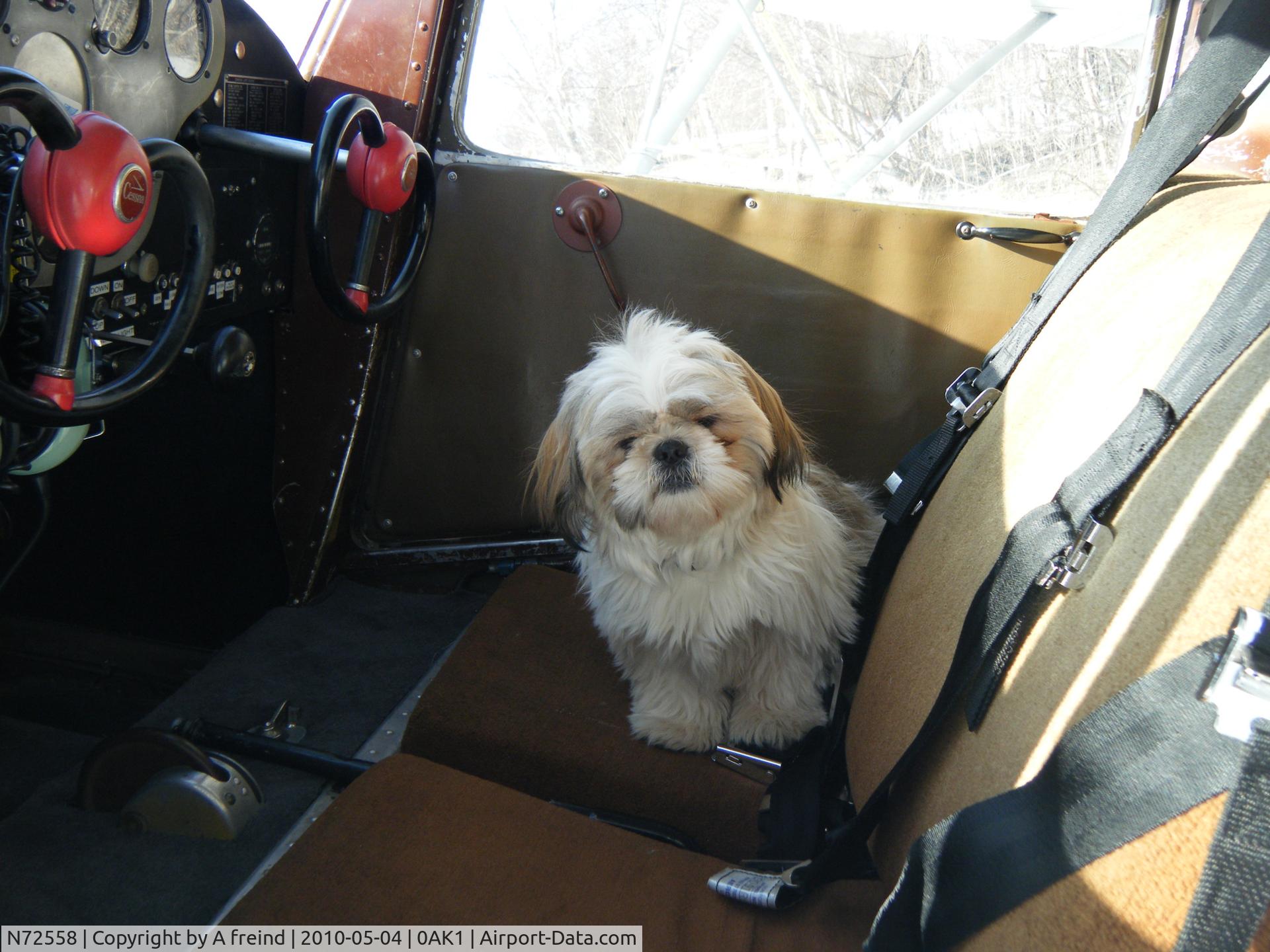 N72558, 1946 Cessna 140 C/N 9728, Anderson Lake Wasilla Alaska