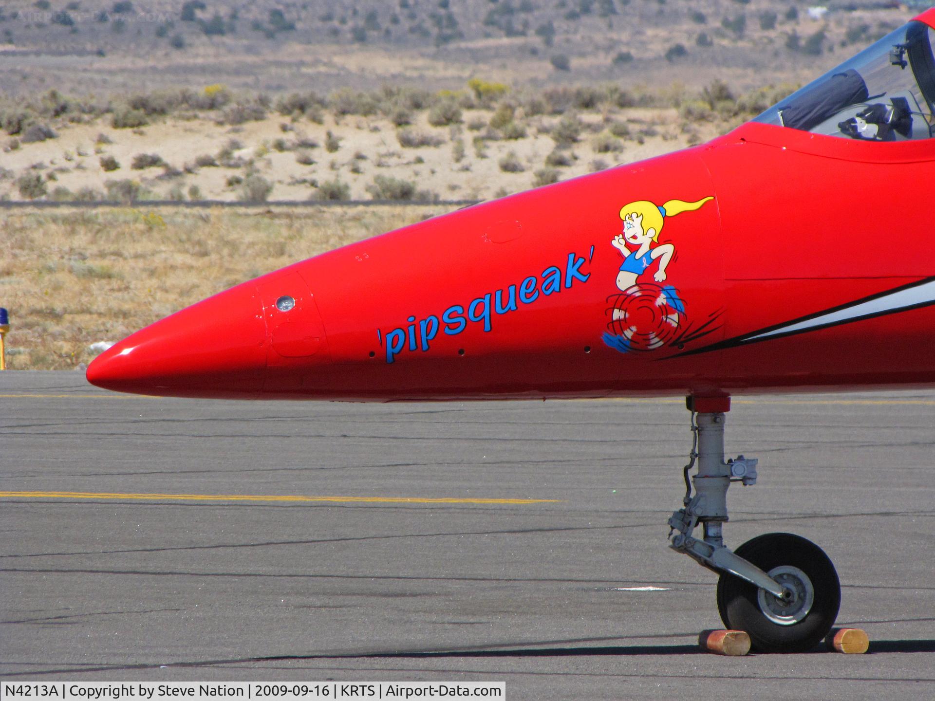 N4213A, Aero L-39C Albatros C/N 0105, Close-up of 