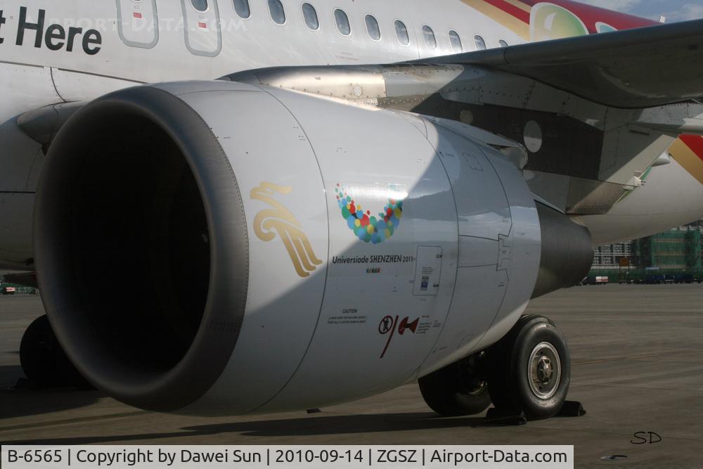 B-6565, 2009 Airbus A320-214 C/N 3971, Shenzhen Airlines A320