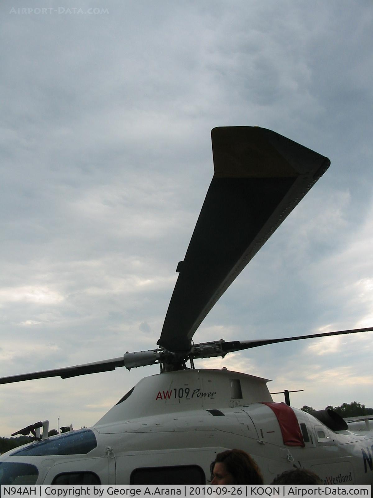 N94AH, 2000 Agusta A-109E C/N 11081, Main rotor blade
