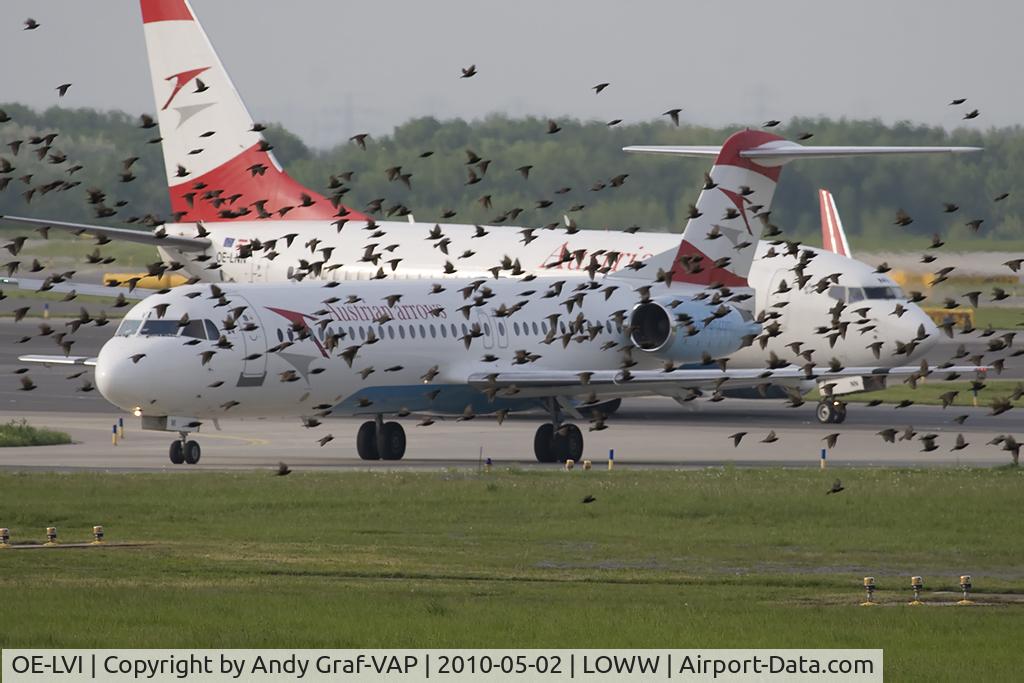 OE-LVI, 1993 Fokker 100 (F-28-0100) C/N 11468, Austrian Arrows F100