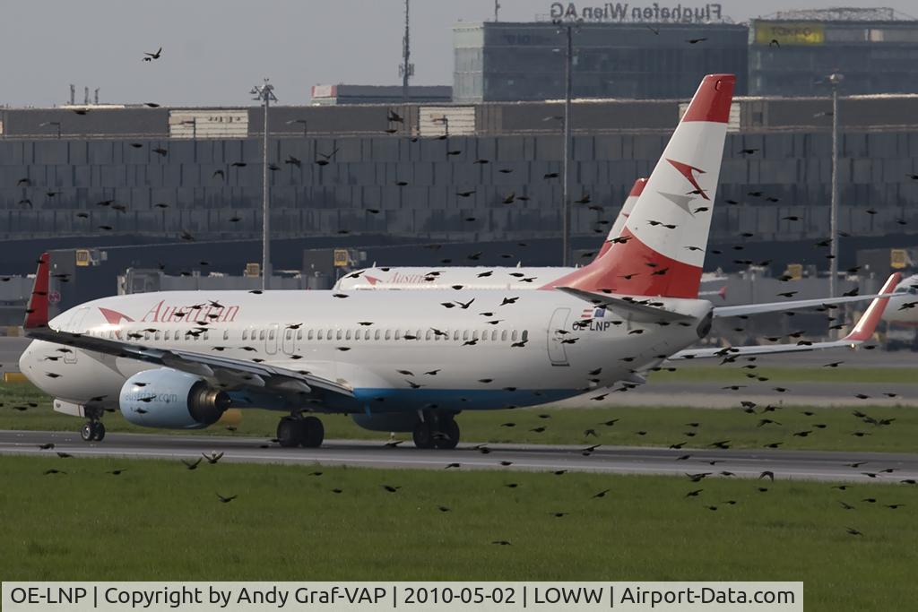 OE-LNP, 2002 Boeing 737-8Z9 C/N 30420, Austrian Airlines 737-800