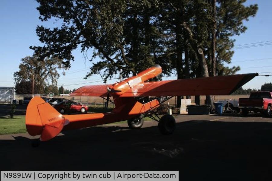 N989LW, Lewis Eric TWIN CUB C/N 001, twin cub  twin engine cub pusher puller cub