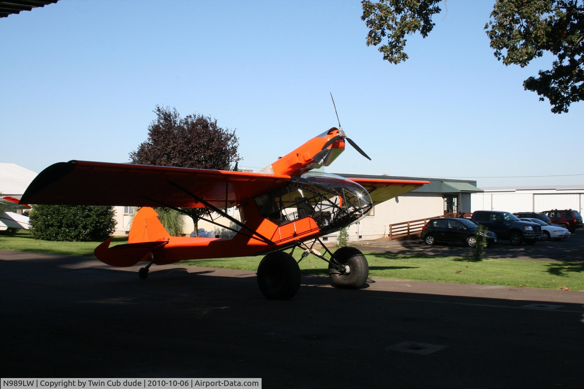 N989LW, Lewis Eric TWIN CUB C/N 001, Twin Rotax 914 Cub!