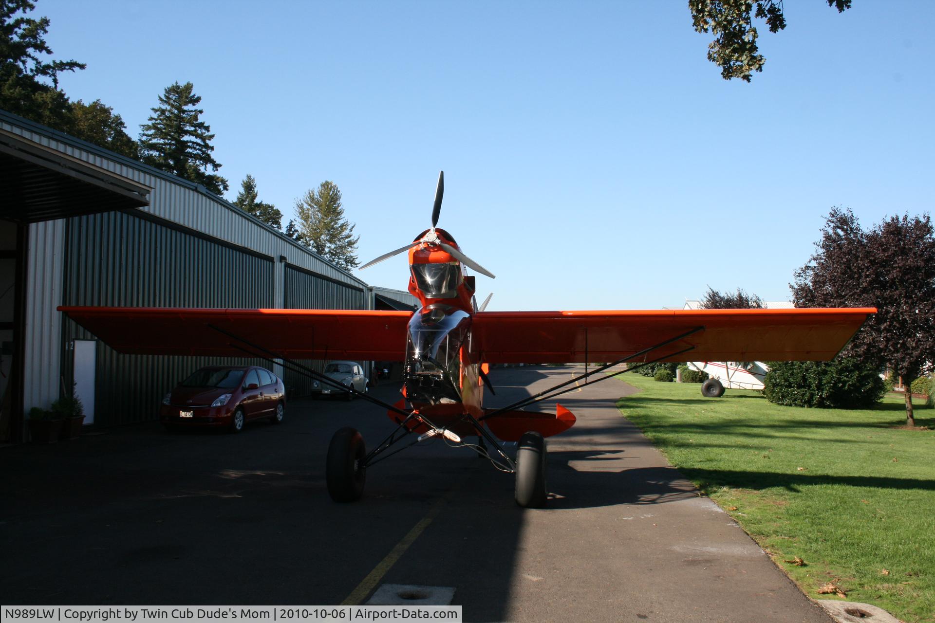N989LW, Lewis Eric TWIN CUB C/N 001, Awesome Twin Cub!