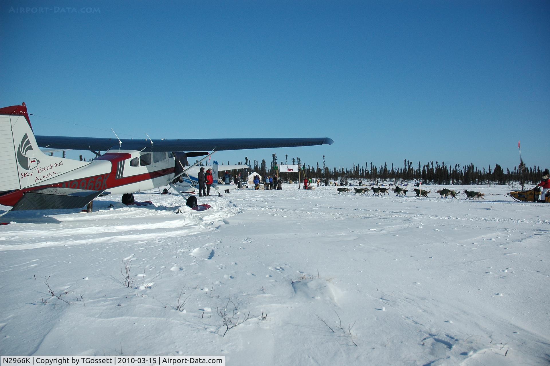 N2966K, 1980 Cessna 180K Skywagon C/N 18053140, 66k in cripple alaska iditarod 2010. mitch seavey is the musher