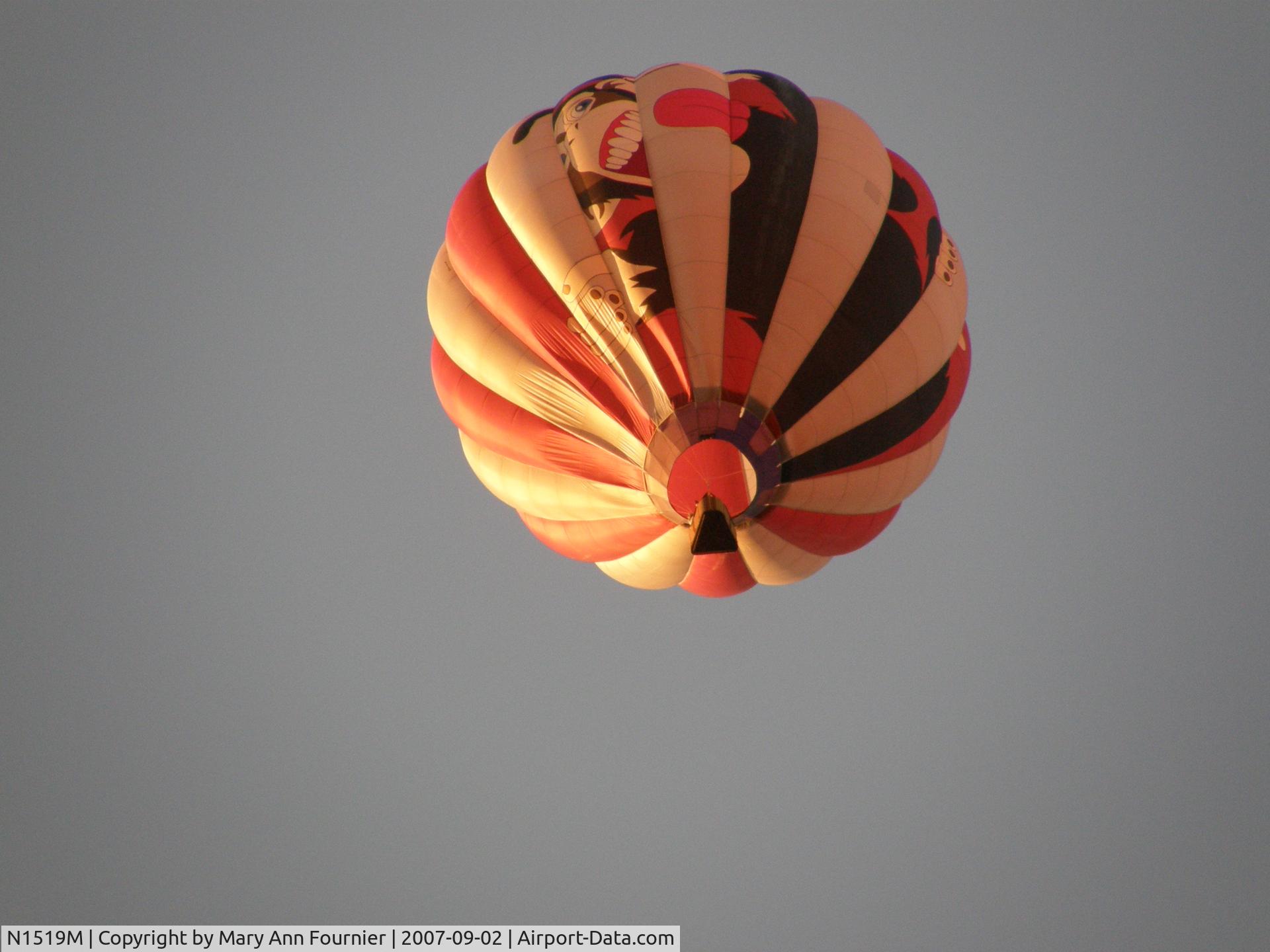 N1519M, 2001 Firefly Balloons Inc FIREFLY 7-15 C/N F7-2003, Monkey Business