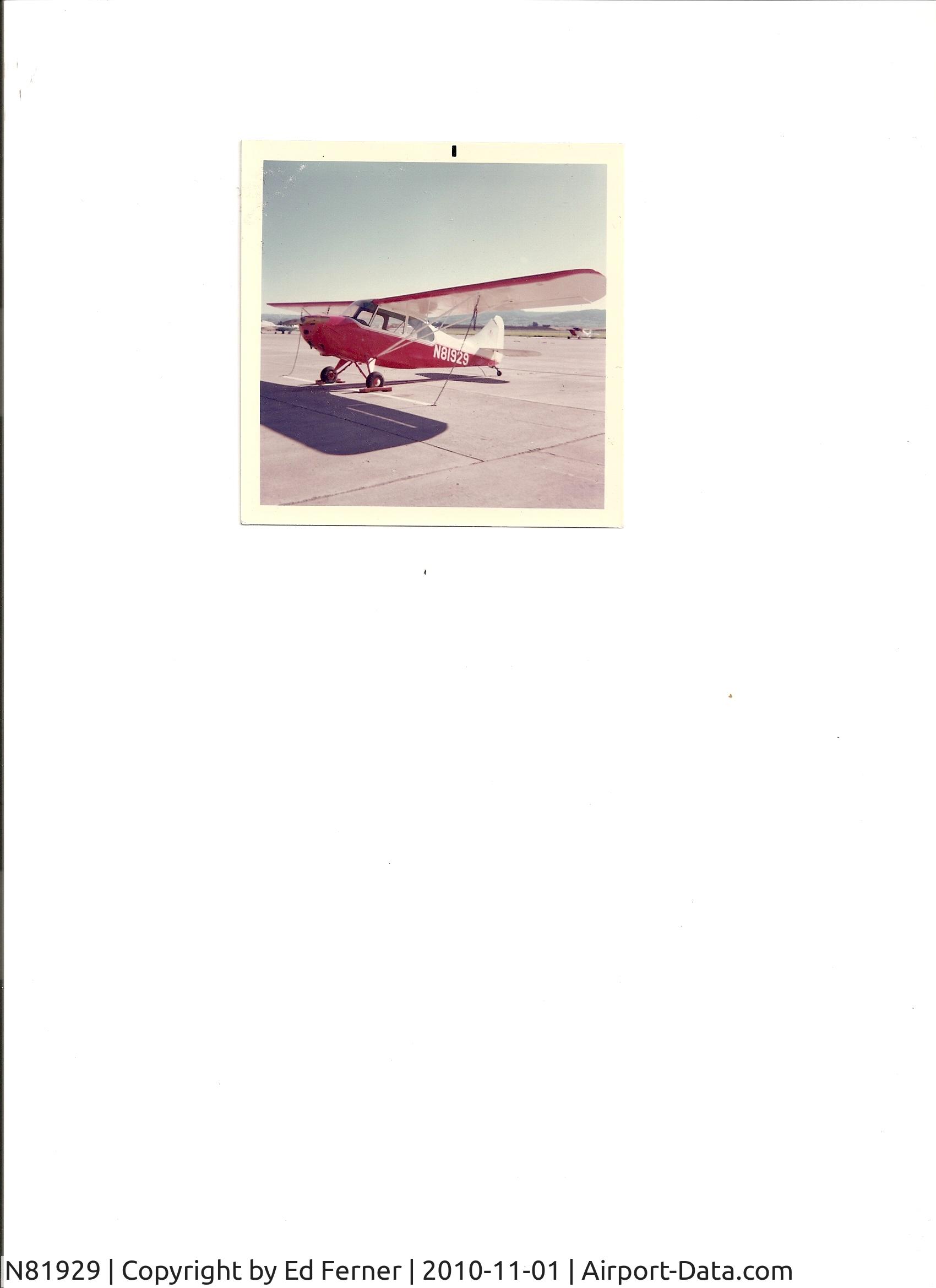 N81929, Aeronca 7AC Champion C/N 7AC-554, Aircraft tied down on ramp at Hollister Airport, California. Circa mid to late 1960's.