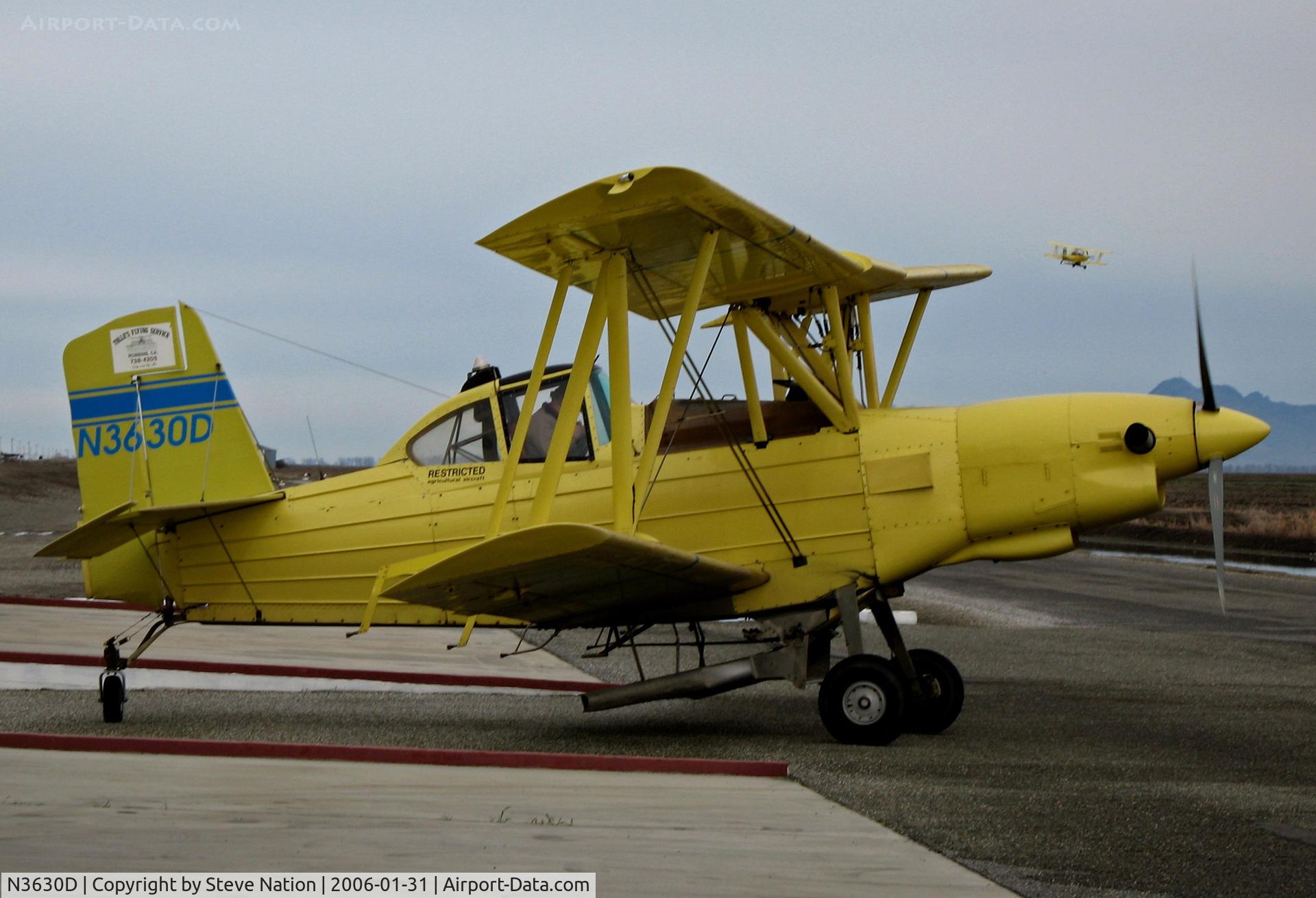 N3630D, 1984 Schweizer Aircraft Corp G-164B C/N 756B, Tolle's Flying Service (Robbins, CA) Turbine 1984 G-164B operating from owner's private airstrip near junction of State Hwy 113 and Reclamation Road - applying fertilizer to wheat this day with spreader