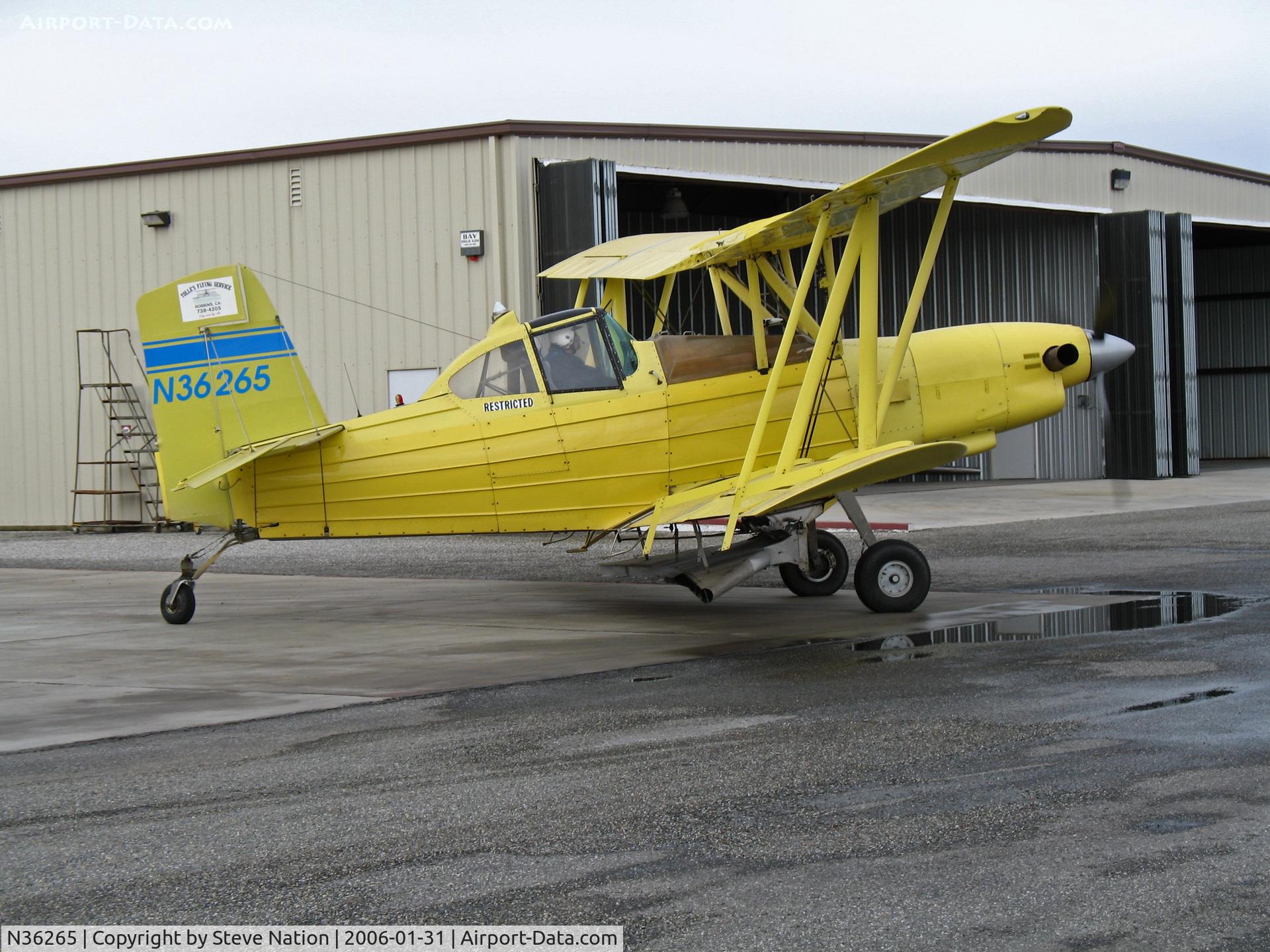 N36265, 1983 Schweizer G-164B C/N 725 B, Tolle's Flying Service (Robbins, CA) 1983 turbine G-164B taxis for take-off at owner's private airstrip near junction of State Hwy 113 and Reclamation Road - applying dry fertilizer to wheat this day with spreader