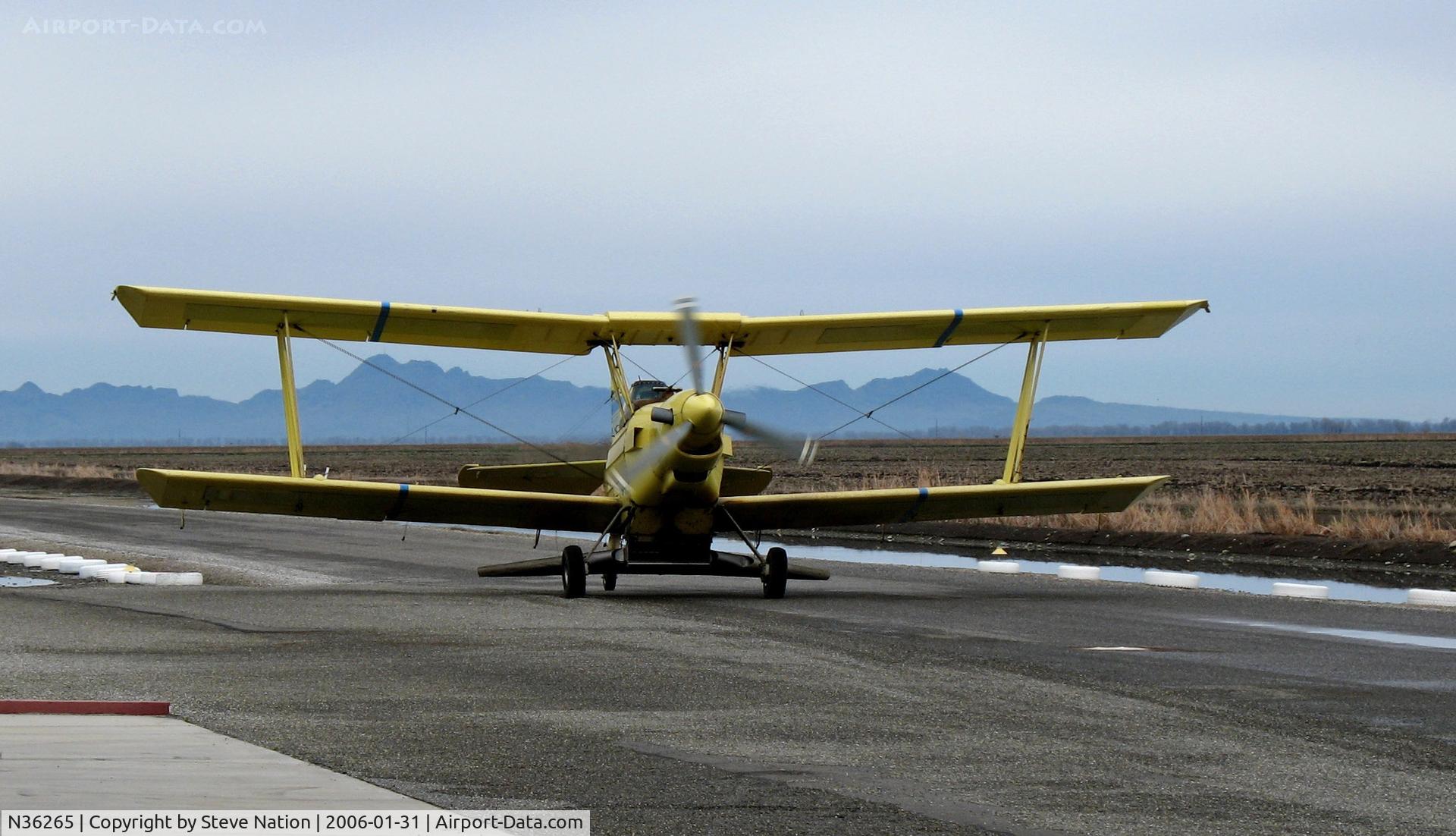 N36265, 1983 Schweizer G-164B C/N 725 B, Tolle's Flying Service (Robbins, CA) 1983 turbine G-164B returns from application run to owner's private airstrip near junction of State Hwy 113 and Reclamation Road - applying dry fertilizer to wheat this day with spreader (Sutter Buttes in background)