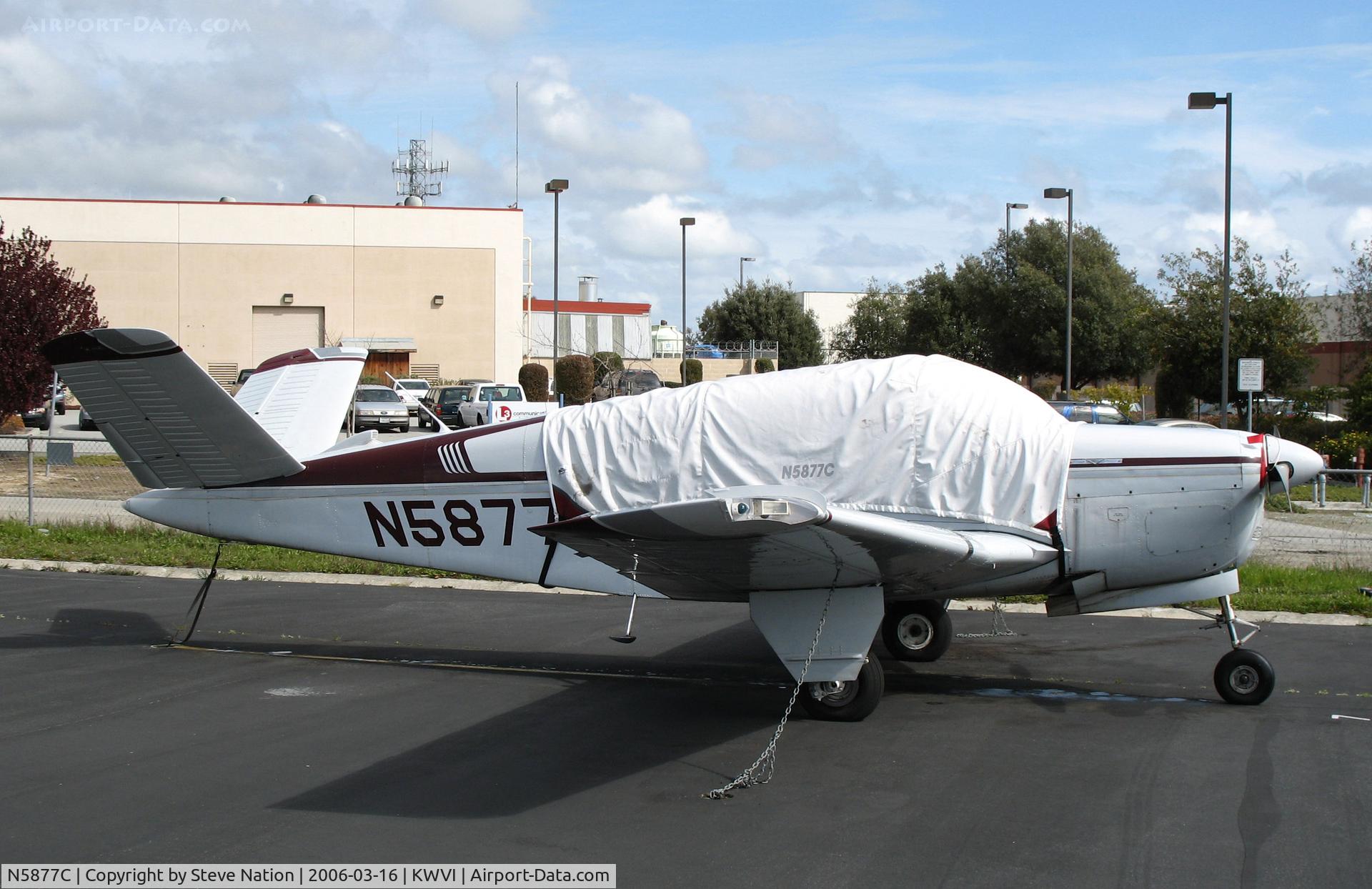 N5877C, 1951 Beech C35 Bonanza C/N D-2833, 1951 Beech C35 with cockpit covered @ Watsonville, CA