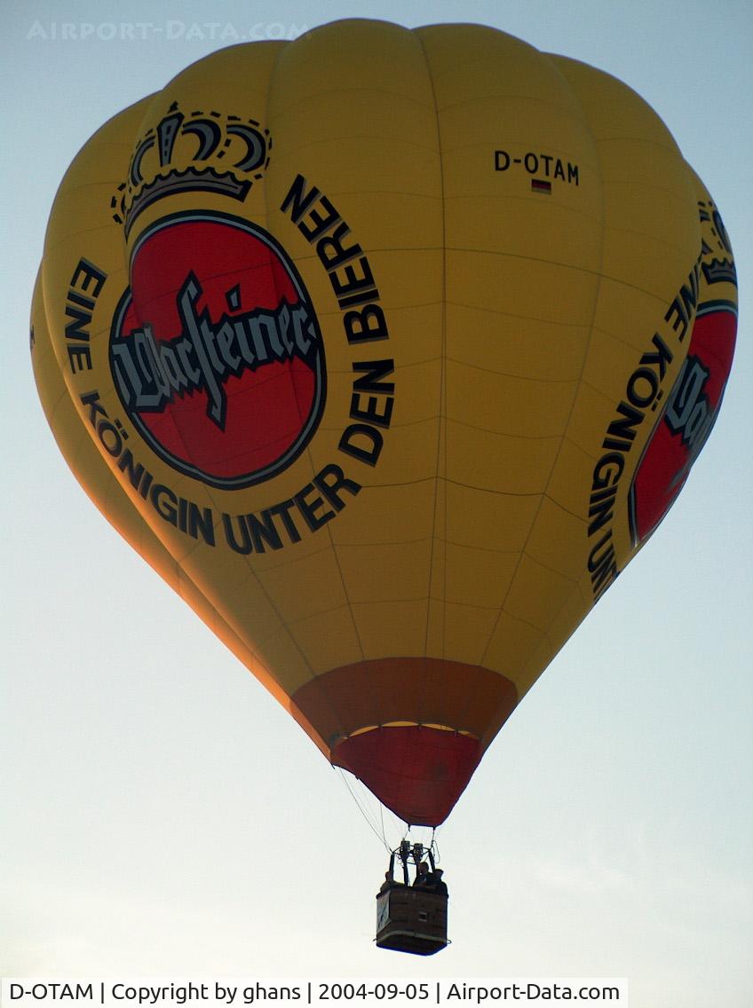 D-OTAM, 1999 Thunder & Colt Balloons AX8-84 C/N 4516, WIM 2004