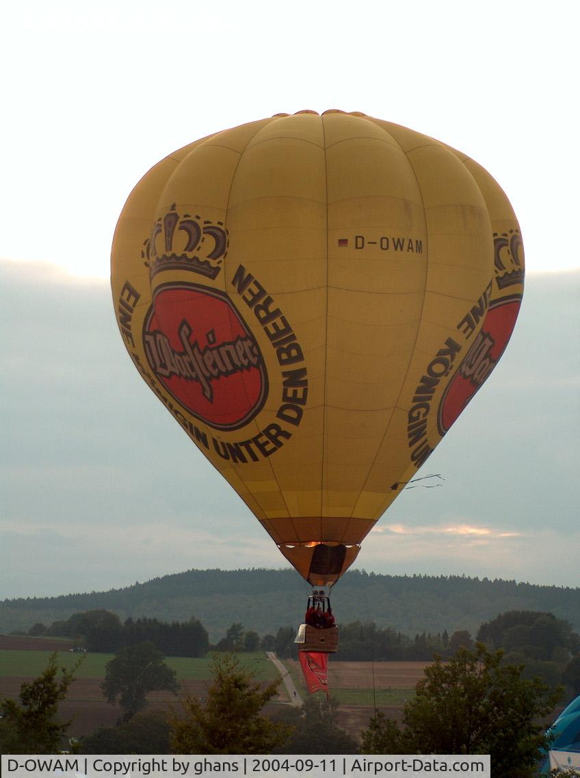 D-OWAM, 1994 Thunder & Colt Balloons AX8.84 C/N 2565, WIM 2004