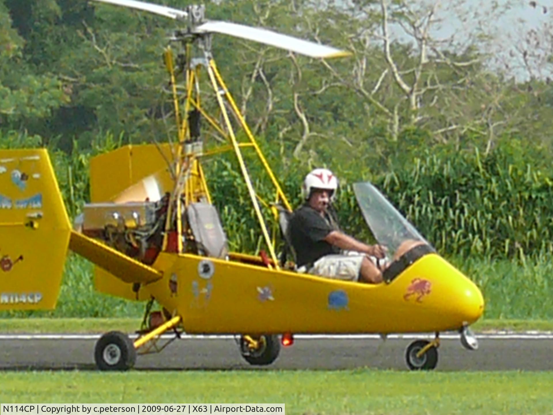 N114CP, Peterson Charles D TWIN STAR C/N 001, Twinstar with a model posing