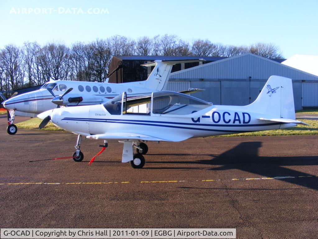 G-OCAD, 1996 Sequoia F-8L Falco C/N PFA 100-12114, Leicester resident