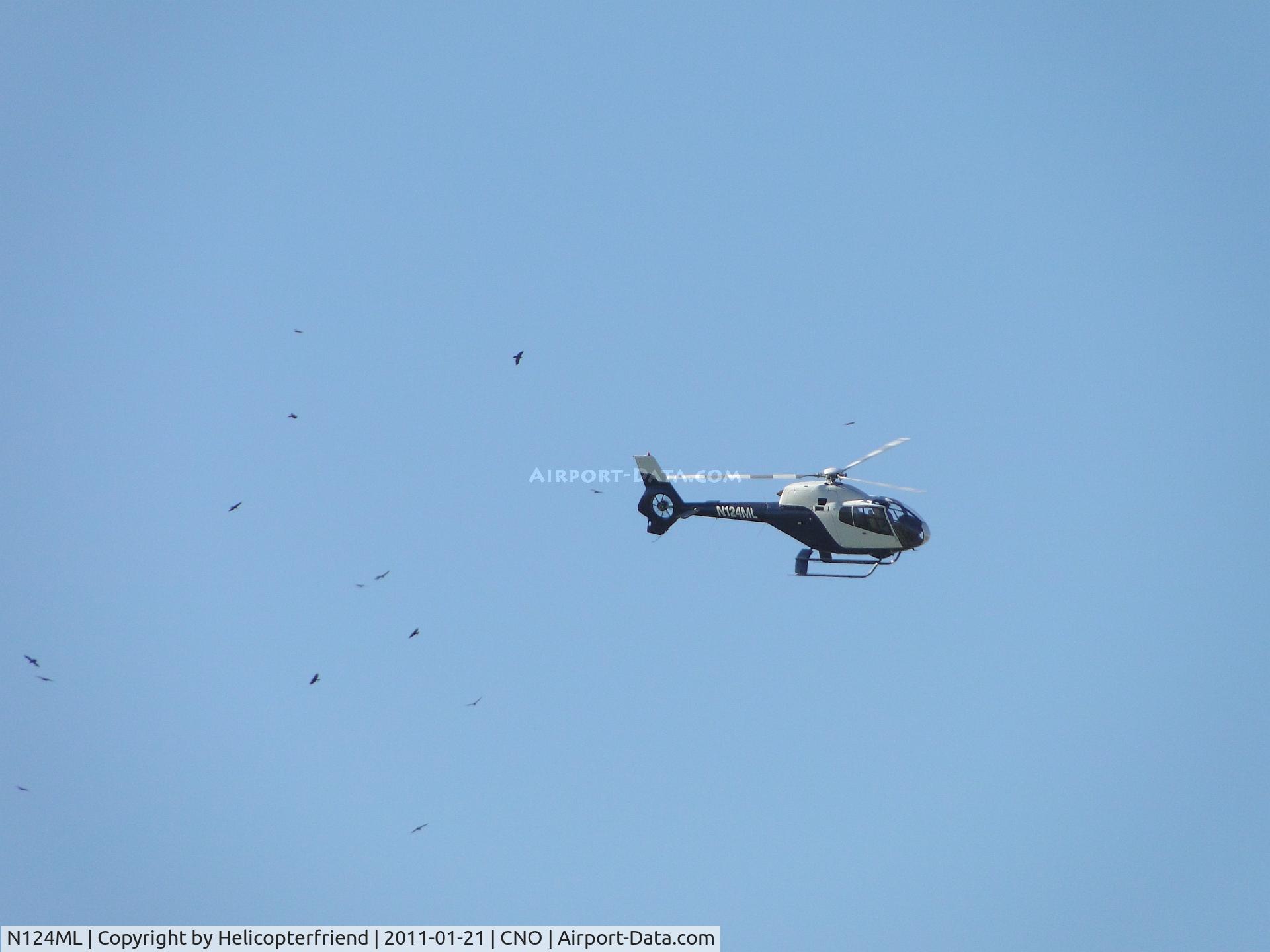 N124ML, 2001 Eurocopter EC-120B Colibri C/N 1262, Appears to be flying with a group of birds