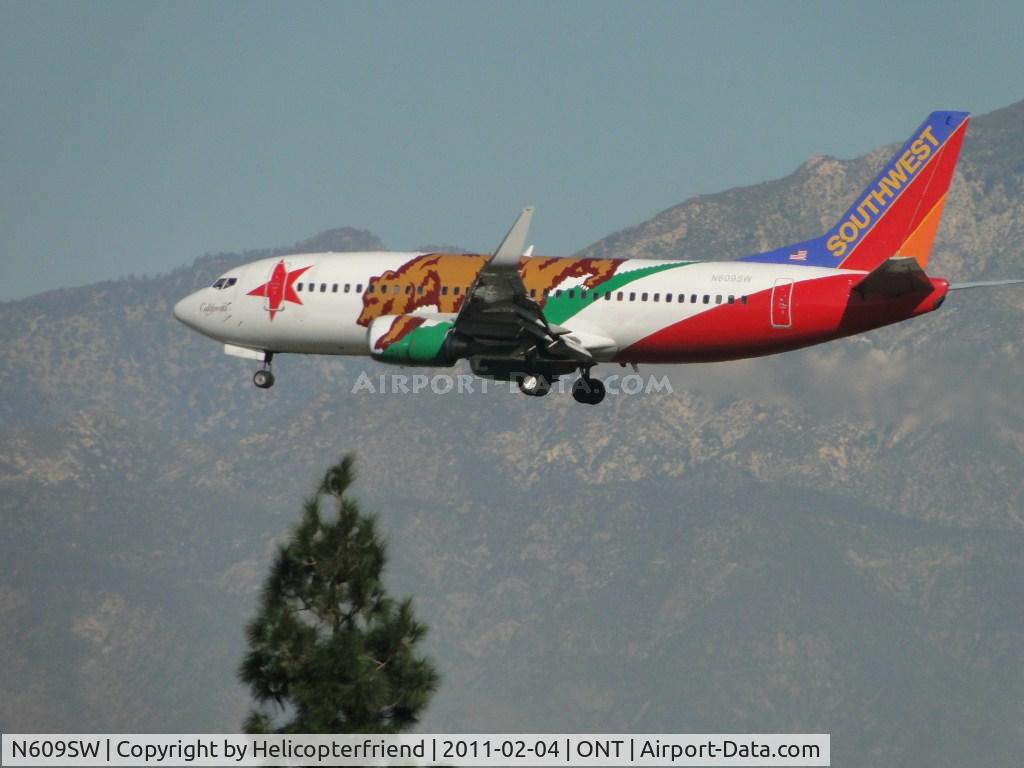 N609SW, 1995 Boeing 737-3H4 C/N 27929, Looks like the California Bear is looking at the tree as 