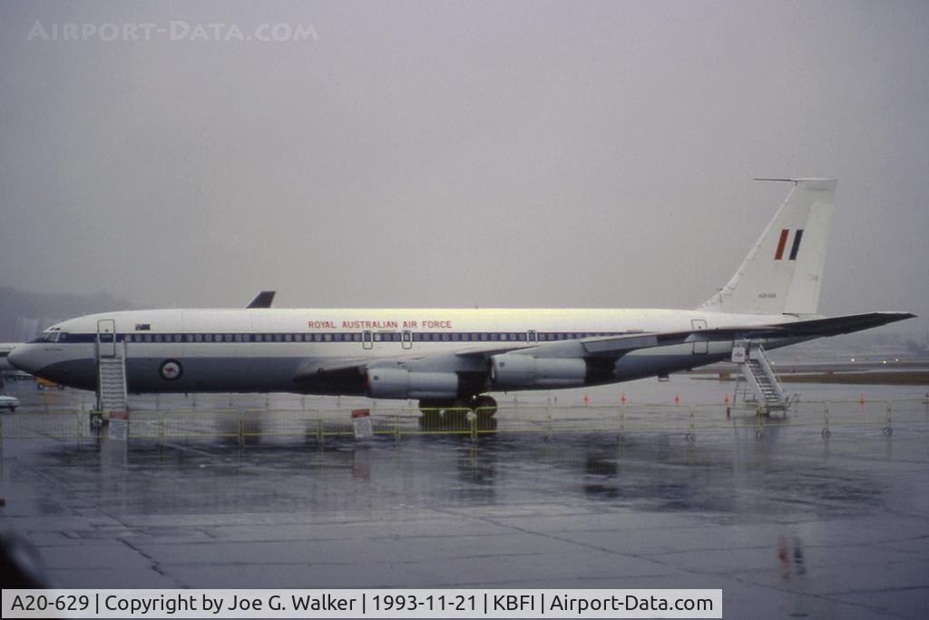 A20-629, 1968 Boeing 707-338C C/N 19629, RAAF 707-338C seen at BFI. Aircraft brought the Australian representatives to Seattle for the APEC conference.