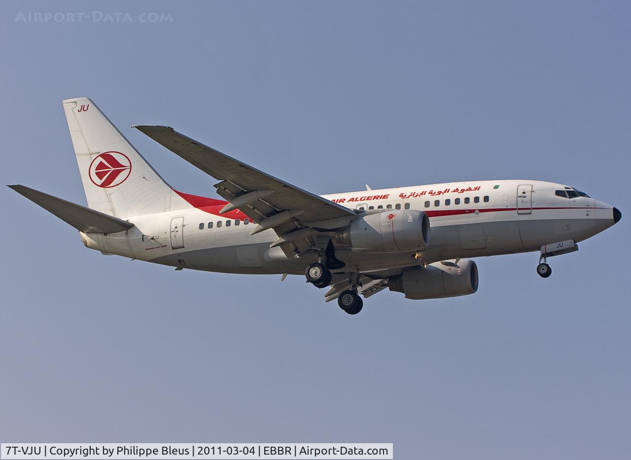 7T-VJU, 2002 Boeing 737-6D6 C/N 30211, Short final rwy 02 by NE winds.