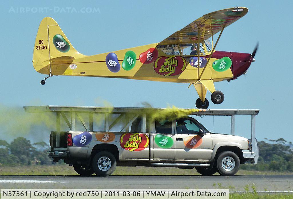 N37361, 1941 Interstate S-1A-65F Cadet C/N 204, The Jelly Belly Interstate S-1A-65F performing its truck top landing routine at the Avalon International Air Show - second visit.