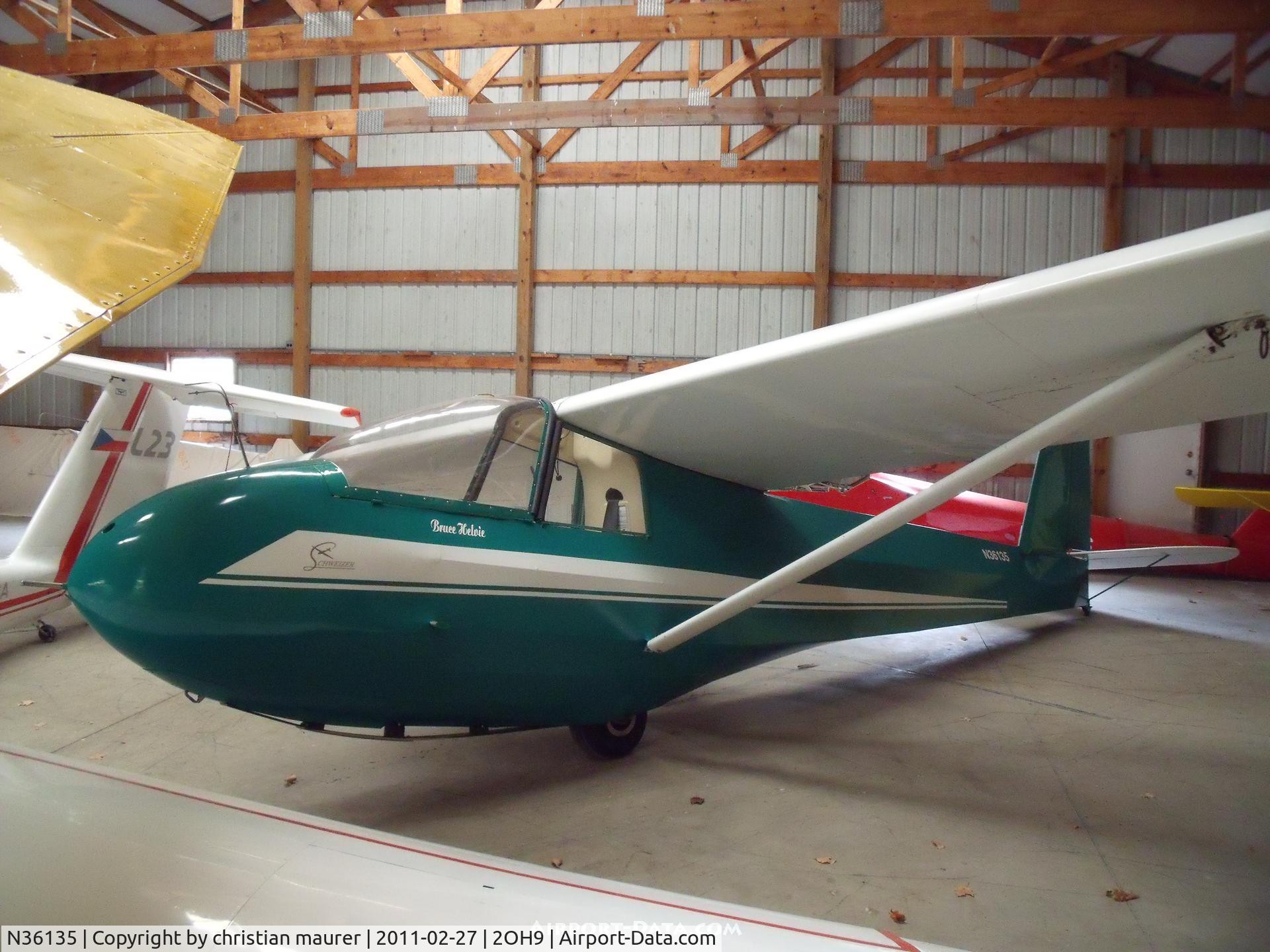 N36135, 1981 Schweizer SGS 2-33A C/N 564, =)