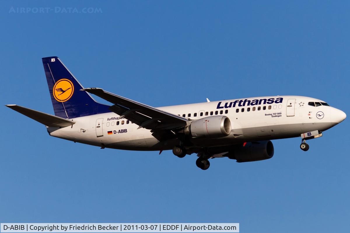 D-ABIB, 1990 Boeing 737-530 C/N 24816, on final