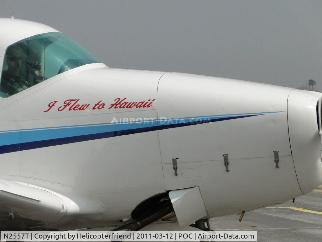 N2557T, 1976 Navion Rangemaster H C/N NAV-4-2557, Nose art