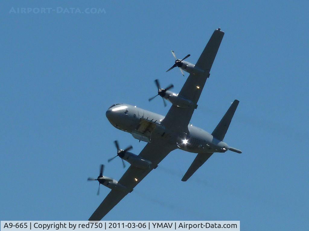 A9-665, Lockheed AP-3C Orion C/N 285D-5795, Orion display at Avalon Air Show 2011. Note ordnance bay doors open and outer port engine feathered.