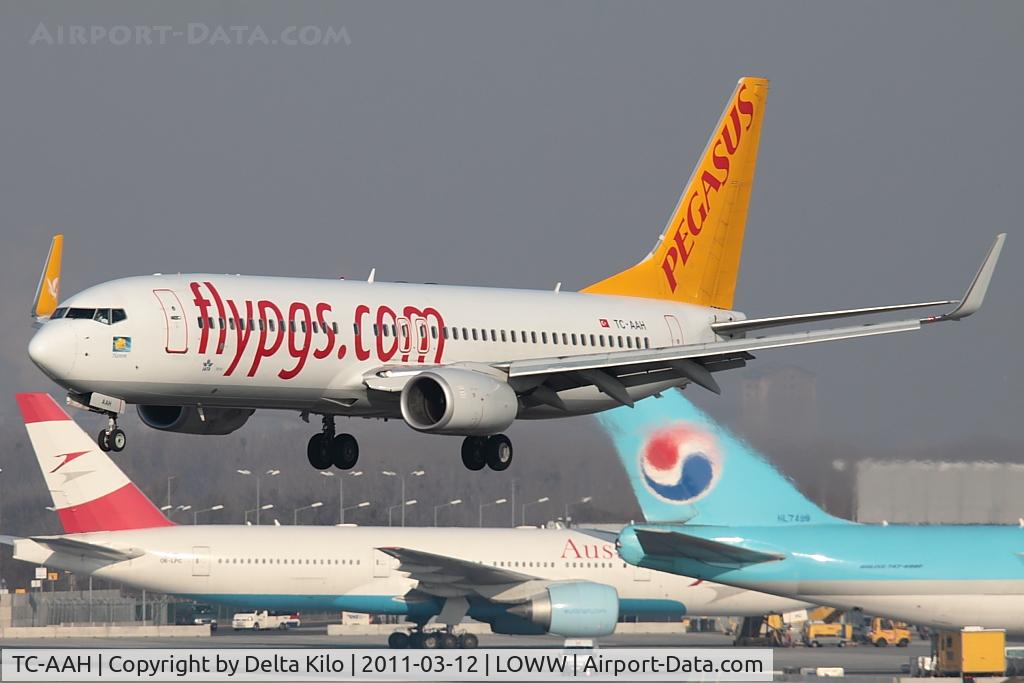 TC-AAH, 2008 Boeing 737-82R C/N 35701/2496, PGT [H9] Pegasus Airlines