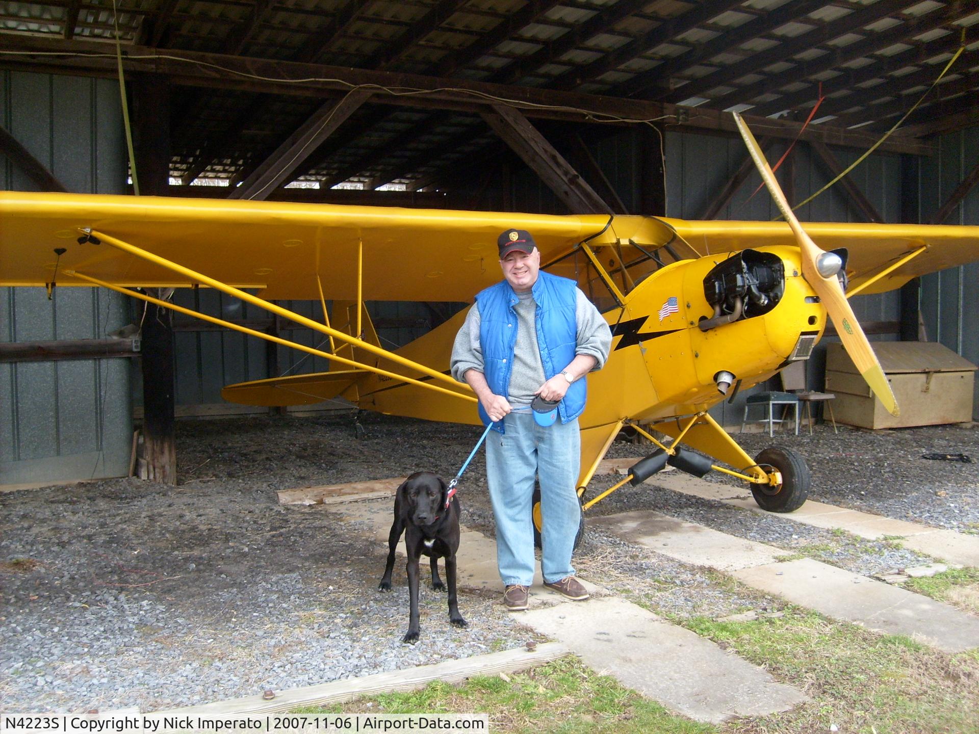 N4223S, Piper J3C-65 Cub C/N 10428, 1946 Piper J3-65 Cub