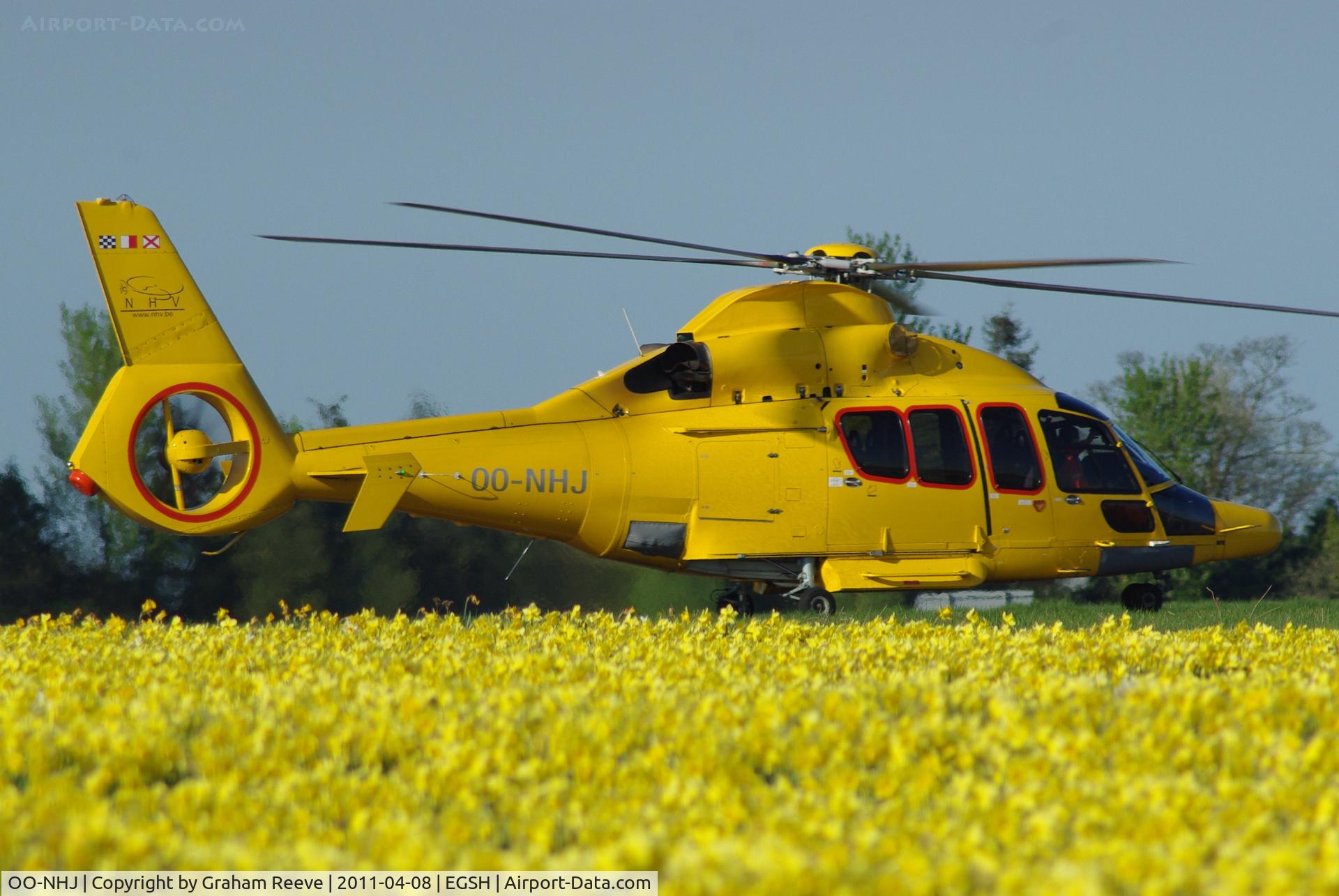 OO-NHJ, 2009 Eurocopter EC-155B-1 C/N 6842, A yellow helicopter amongst yellow daf's.