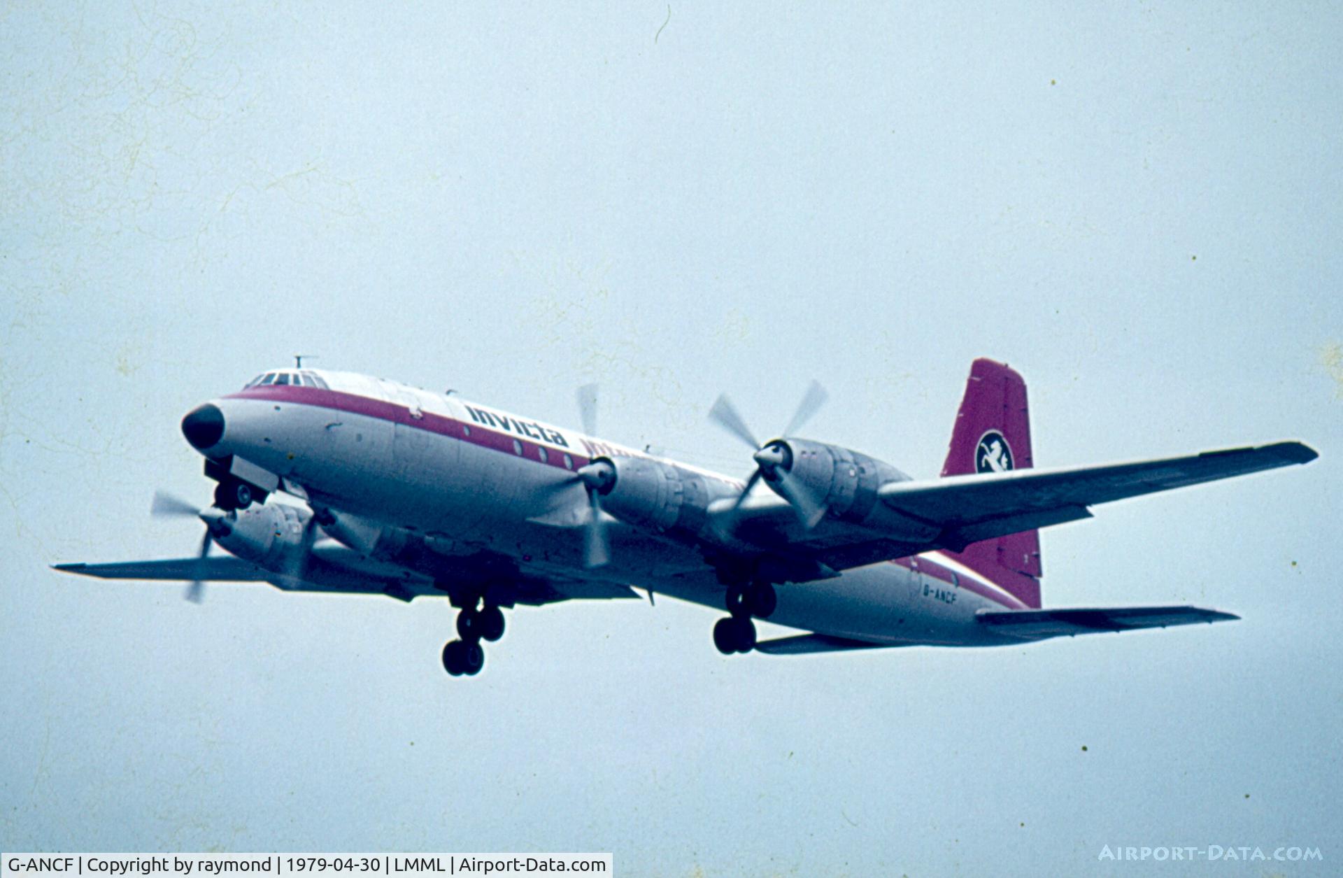 G-ANCF, 1959 Bristol 175 Britannia 308F C/N 12922, B.Britannia G-ANCF Invicta Cargo