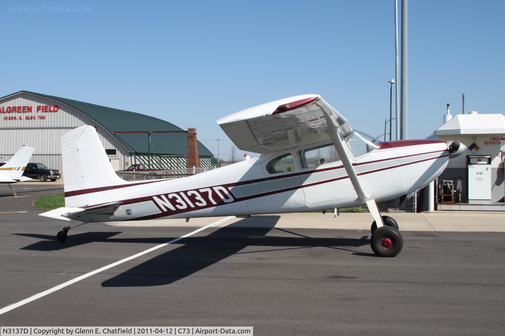 N3137D, 1955 Cessna 180 C/N 31935, Parked in the morning sun