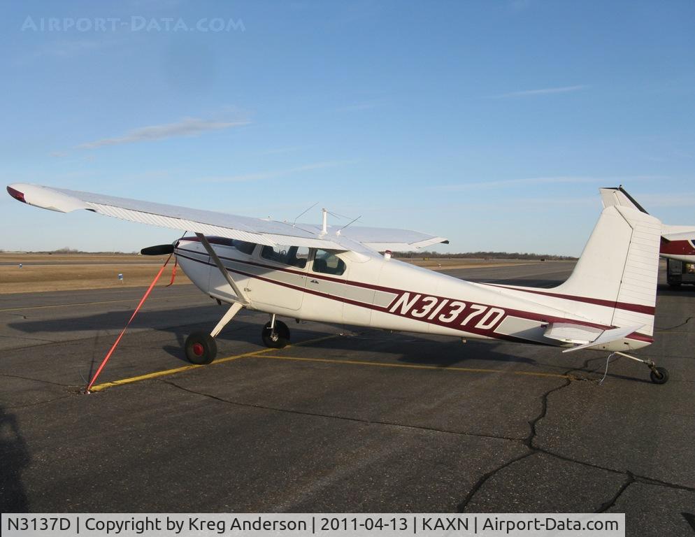 N3137D, 1955 Cessna 180 C/N 31935, Cessna 180 Skywagon on the line.