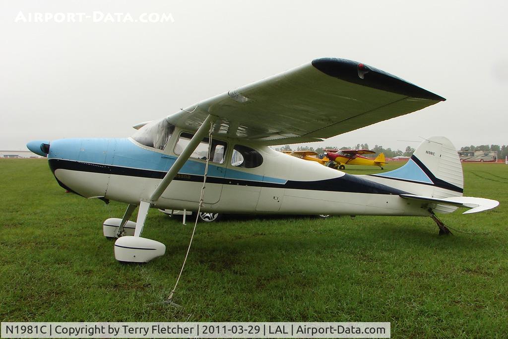 N1981C, 1954 Cessna 170B C/N 26126, 2011 Sun n Fun Lakeland , Florida